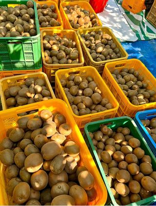 농부손녀님의 자유주제 · 자유게시판 작성글 사진