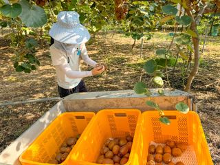 농부손녀님의 자유주제 · 자유게시판 작성글 사진
