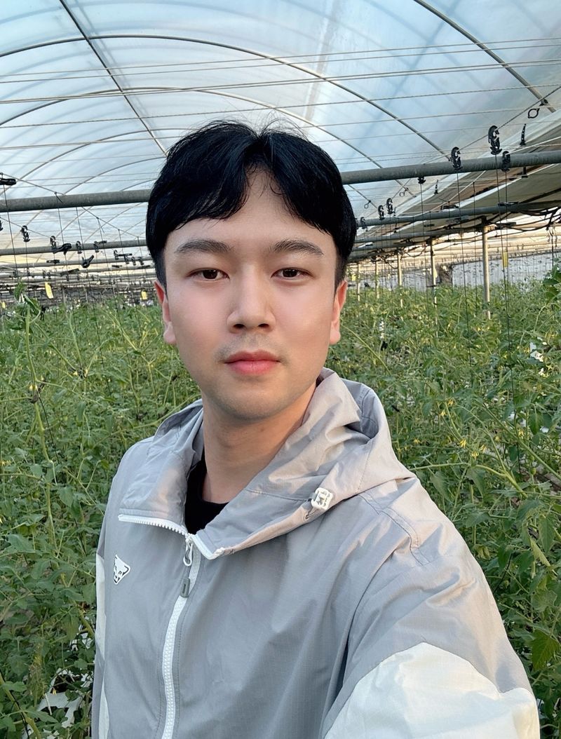 김대민님의 장터 판매 상품 [대추방울토마토 3kg] 첨부 사진