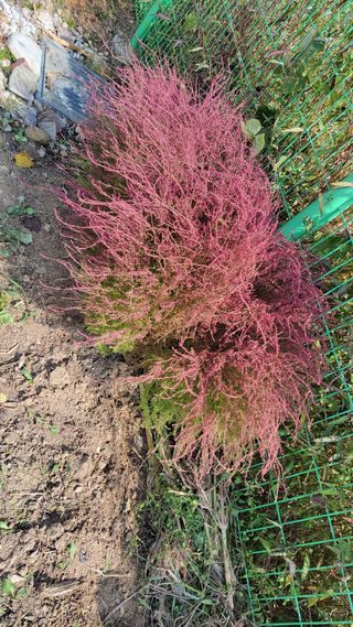 김중언님의 자유주제 · 자유게시판 작성글 사진