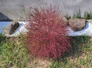 김중언님의 자유주제 · 자유게시판 작성글 사진