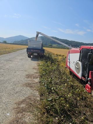 땅끝해남님의 벼 · 영농일지 작성글 사진