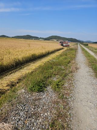 땅끝해남님의 벼 · 영농일지 작성글 사진