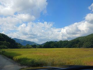 금동이네님의 [팜춘문예] 짧은 시 쓰기| 2024 · 참여글 작성글 사진