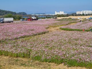 서명석님의 자유주제 · 자유게시판 작성글 사진