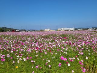 서명석님의 자유주제 · 자유게시판 작성글 사진