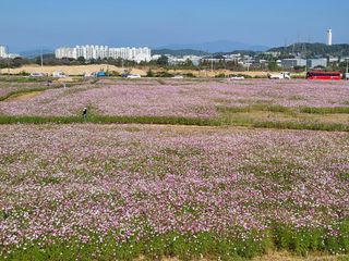 서명석님의 자유주제 · 자유게시판 작성글 사진