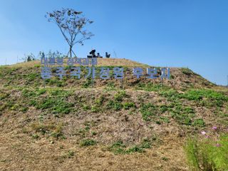 서명석님의 자유주제 · 자유게시판 작성글 사진