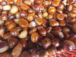 장지영님의 작성글 사진