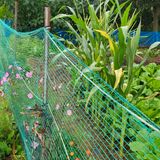 팜모닝 옥수수·영농일지 게시글 이미지