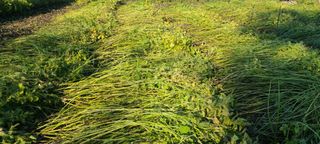 정진해님의 자유주제 · 자유게시판 작성글 사진