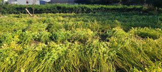 정진해님의 자유주제 · 자유게시판 작성글 사진