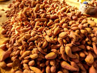 한상숙님의 고구마 · 영농일지 작성글 사진