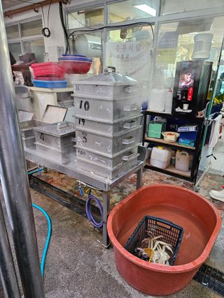 노가네수산님의 자유주제 · 사진전 작성글 사진