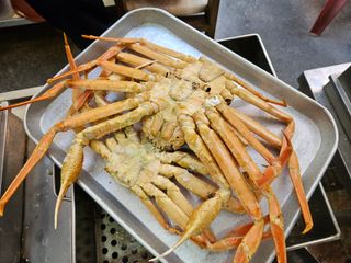 노가네수산님의 자유주제 · 사진전 작성글 사진