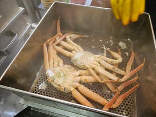 노가네수산님의 자유주제 · 사진전 작성글 사진