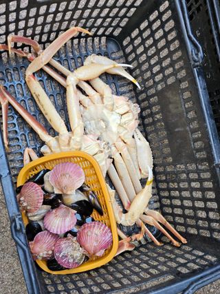 노가네수산님의 자유주제 · 사진전 작성글 사진