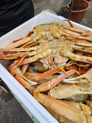 노가네수산님의 자유주제 · 사진전 작성글 사진