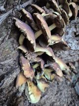 팜모닝 자유주제·자유게시판 게시글 이미지