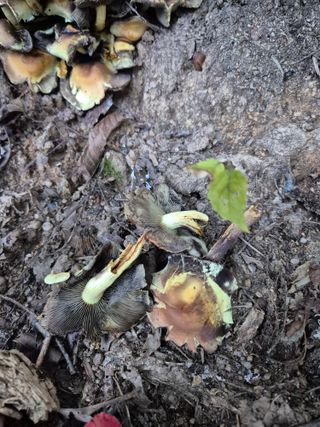 블루베리17899님의 자유주제 · 자유게시판 작성글 사진