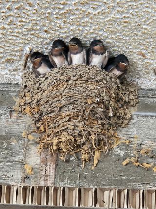 백승화님의 자유주제 · 사진전 작성글 사진