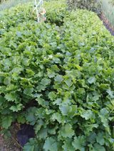 팜모닝 자유주제·자유게시판 게시글 이미지