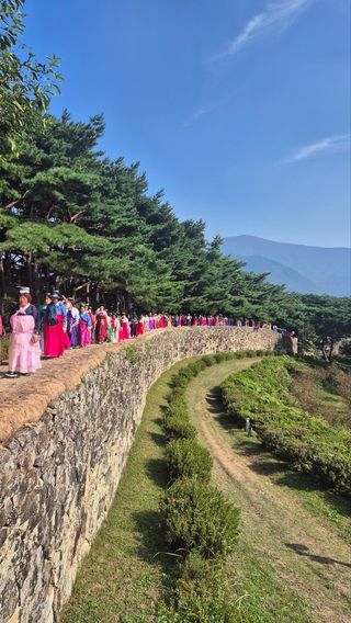 고창복분자님의 자유주제 · 자유게시판 작성글 사진
