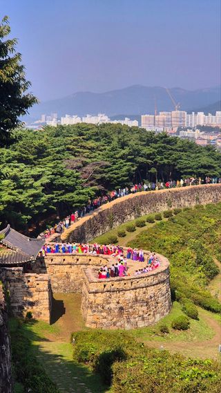 고창복분자님의 자유주제 · 자유게시판 작성글 사진