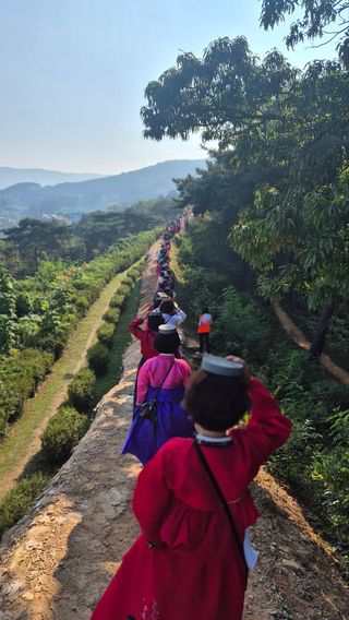 고창복분자님의 자유주제 · 자유게시판 작성글 사진