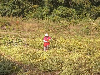 봉골농장님의 자유주제 · 자유게시판 작성글 사진