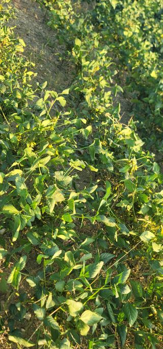 신승철님의 자유주제 · 자유게시판 작성글 사진