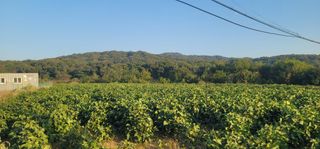 신승철님의 자유주제 · 자유게시판 작성글 사진