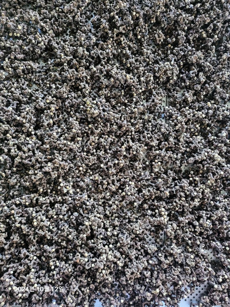 장터 상품 [헛께나무열매 (판매완료)] 썸네일