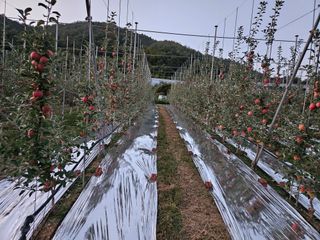 손기홍님의 자유주제 · 자유게시판 작성글 사진