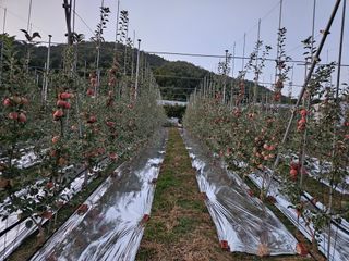 손기홍님의 자유주제 · 자유게시판 작성글 사진