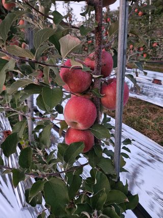 손기홍님의 자유주제 · 자유게시판 작성글 사진