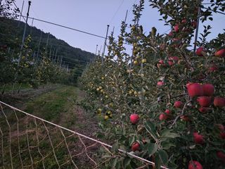 손기홍님의 자유주제 · 자유게시판 작성글 사진