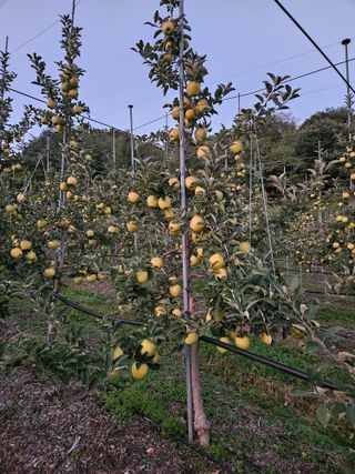 손기홍님의 자유주제 · 자유게시판 작성글 사진