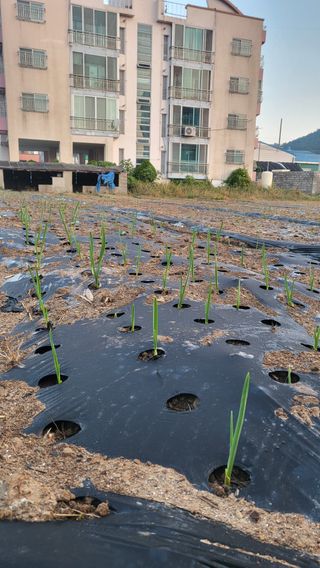 귀향인님의 자유주제 · 자유게시판 작성글 사진