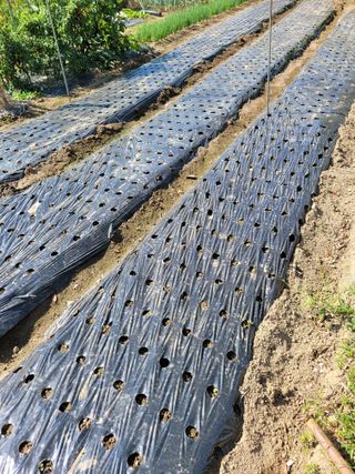 정소망님의 자유주제 · 사진전 작성글 사진