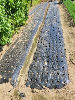 정소망님의 자유주제 · 사진전 작성글 사진