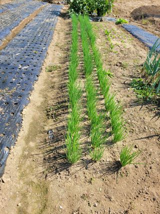 정소망님의 자유주제 · 사진전 작성글 사진