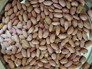 박순례님의 [팜춘문예] 짧은 시 쓰기| 2024 · 참여글 작성글 사진