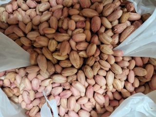 박순례님의 [팜춘문예] 짧은 시 쓰기| 2024 · 참여글 작성글 사진