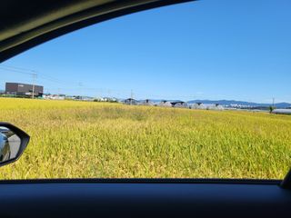 박순례님의 [팜춘문예] 짧은 시 쓰기| 2024 · 참여글 작성글 사진