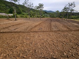 (주)연리지윤태금님의 기타작물 · 영농일지 작성글 사진