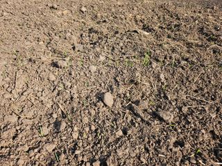 (주)연리지윤태금님의 기타작물 · 영농일지 작성글 사진