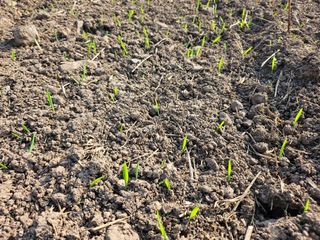 (주)연리지윤태금님의 기타작물 · 영농일지 작성글 사진
