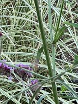 팜모닝 자유주제·자유게시판 게시글 이미지