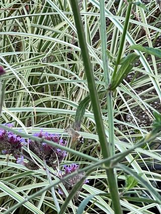 Ephraim님의 자유주제 · 자유게시판 작성글 사진